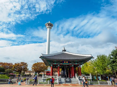 TOUR HÀN QUỐC: BUSAN-GYEONGJU-SEOUL-ĐẢO NAMI-HAEUNDEA-CỎ HỒNG MUHLY-HUINNYEOUL