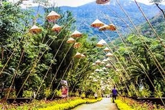 TOUR NHA TRANG - VỊNH NHA TRANG – CITY TOUR, TẮM BÙN