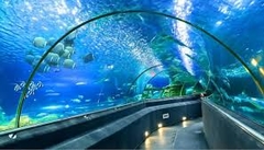 TOUR ĐÀ LẠT – CHECK IN ĐỊA ĐIỂM HOT – NHA TRANG – VỊNH NHA TRANG