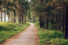TOUR DU LỊCH QUẢNG NINH - CÔ TÔ  3 NGÀY 2 ĐÊM