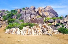 TOUR QUY NHƠN – CÙ LAO XANH 3N2D