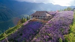 TOUR SAPA - MOANA - FANSIPAN- BẢN CÁT CÁT - Y TÝ - LŨNG PÔ 4N3D