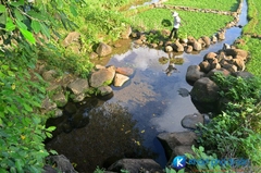 TOUR CÙ LAO CHÀM-ĐI BỘ DƯỚI BIỂN