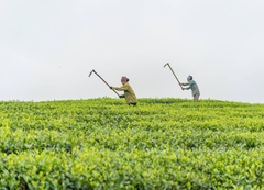 TOUR DU LỊCH HÀ NỘI - TÀ XÙA 2 NGÀY 1 ĐÊM