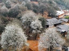 TOUR HÀ NỘI -  NGỌC CHIẾN – HOA SƠN TRÀ - HÀ NỘI