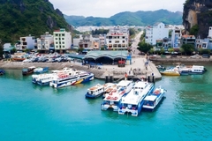 TOUR DU LỊCH BIỂN QUAN LẠN 2 NGÀY 1 ĐÊM