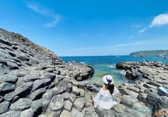 PHÚ YÊN- HOA VÀNG CỎ XANH