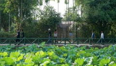 TOUR HÀ NỘI – BIỂN QUỲNH – CỬA LÒ – HÀ NỘI 3N2Đ