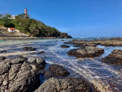 TOUR QUẢNG NGÃI - ĐẢO LÝ SƠN - MĂNG ĐEN 4 NGÀY 3 ĐÊM