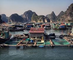 TOUR  VỊNH LAN HẠ 1 NGÀY