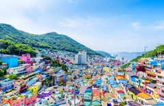 TOUR HÀN QUỐC: BUSAN-GYEONGJU-SEOUL-ĐẢO NAMI-HAEUNDEA-CỎ HỒNG MUHLY-HUINNYEOUL