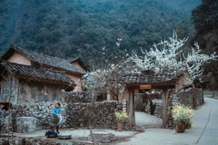 TOUR DU LỊCH HÀ NỘI - HÀ GIANG - SÔNG NHO QUẾ 3 NGÀY 2 ĐÊM