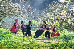 ĐỒI CỎ HỒNG – ĐỒI CHÈ – VƯỜN HỒNG CHÍN –  LÀNG NGUYÊN THUỶ HANG TÁU – CẦU KÍNH/ HAPPY LAND