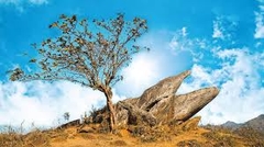 TOUR HÀ NỘI - SĂN MÂY TÀ XÙA - HỒ SUỐI CHIẾU - HÀ NỘI