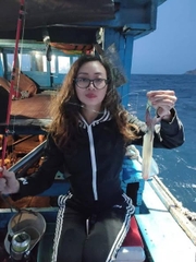 TOUR CÂU MỰC ĐÊM PHÚ QUỐC