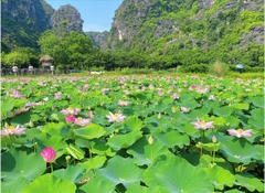 HÀ NỘI - NINH BÌNH- HẠ LONG 3 NGÀY 2 ĐÊM