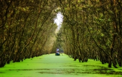 TOUR DU LỊCH CHÂU ĐỐC – RỪNG TRÀM TRÀ SƯ – CẦN THƠ 3 NGÀY 2 ĐÊM