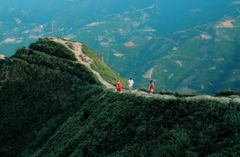 TOUR DU LỊCH SĂN MÂY TÀ XÙA – THẢO NGUYÊN – TÀ XÙA ECOLODGE 2 NGÀY 1 ĐÊM