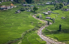 TOUR DU LỊCH HÀ NỘI - SAPA 3 NGÀY 2 ĐÊM