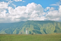 TOUR DU LỊCH HÀ NỘI - TÀ XÙA 2 NGÀY 1 ĐÊM