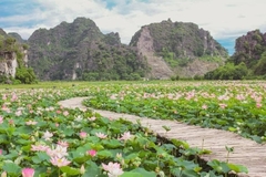 TOUR NINH BÌNH TEAMBUILDING 2 NGÀY 1 ĐÊM TỪ HÀ NỘI