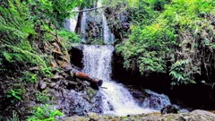 TOUR QUẢNG NGÃI - TREKKING THÁC KHỈ HUYỀN BÍ 2 NGÀY 1 ĐÊM