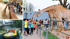 TOUR DU LỊCH THIÊN ĐƯỜNG BẢO SƠN 1 NGÀY