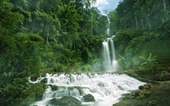 TOUR DU LỊCH HÀ NỘI - ĐÀ LẠT - BẢO LỘC 4 NGÀY 3 ĐÊM