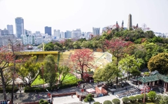 TOUR DU LỊCH HONG KONG - CHU HẢI - QUẢNG CHÂU - THẨM QUYẾN 5 NGÀY 4 ĐÊM