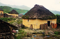 TOUR Y TÝ MÙA LÚA MÙA MÂY 2 NGÀY 1 ĐÊM TỪ HÀ NỘI