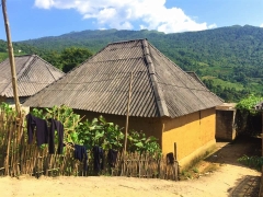TOUR Y TÝ MÙA LÚA MÙA MÂY 2 NGÀY 1 ĐÊM TỪ HÀ NỘI