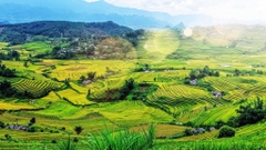 TOUR Y TÝ MÙA LÚA MÙA MÂY 2 NGÀY 1 ĐÊM TỪ HÀ NỘI