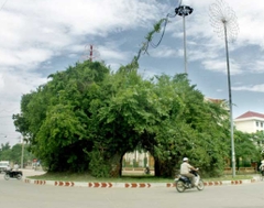 CÁC ĐỊA ĐIỂM DU LỊCH Ở TUYÊN QUANG.
