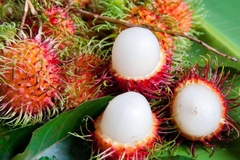 DU LỊCH HÀ NỘI - MIỀN TÂY 4 NGÀY 3 ĐÊM