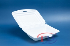 Lunch foam box