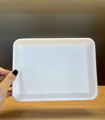 Seafood foam box M14