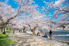 OSAKA - NARA - KYOTO - OSAKA