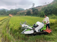Máy Gặt Lúa Mini 4LZ - 1.0 New
