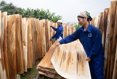 Nguyên Liệu Sản Xuất