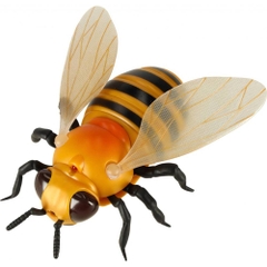 Ong điều khiển từ xa_9923