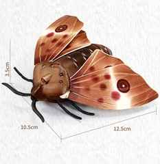 Bướm điều khiển từ xa_6662