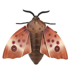 Bướm điều khiển từ xa_6662