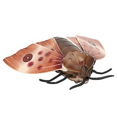 Bướm điều khiển từ xa_6662