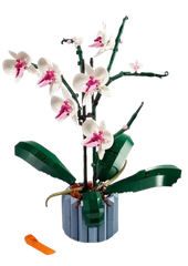 Đồ chơi xếp hình hoa lan_12222