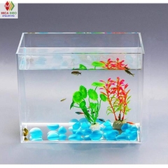 Hồ show cá, keo show Guppy Betta, Bể mini acrylic, Dày 3mm, nhiều kích thước