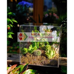 Hộp mica quà tặng hoa, đựng hoa, trang trí sản phẩm, trưng bày Bánh, trái cây, nhiều kích thước