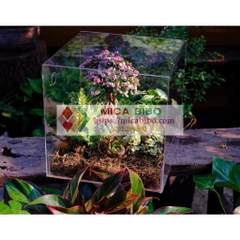 Hộp mica quà tặng hoa, đựng hoa, trang trí sản phẩm, trưng bày Bánh, trái cây, nhiều kích thước