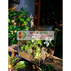 Hộp mica quà tặng hoa, đựng hoa, trang trí sản phẩm, trưng bày Bánh, trái cây, nhiều kích thước
