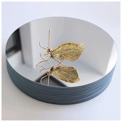 Tấm Mica Gương tròn 25cm - dày 3mm - nhiều màu sắc -Thiết kế theo yêu cầu