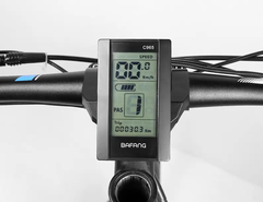 MÀN HÌNH LCD C965 BAFANG